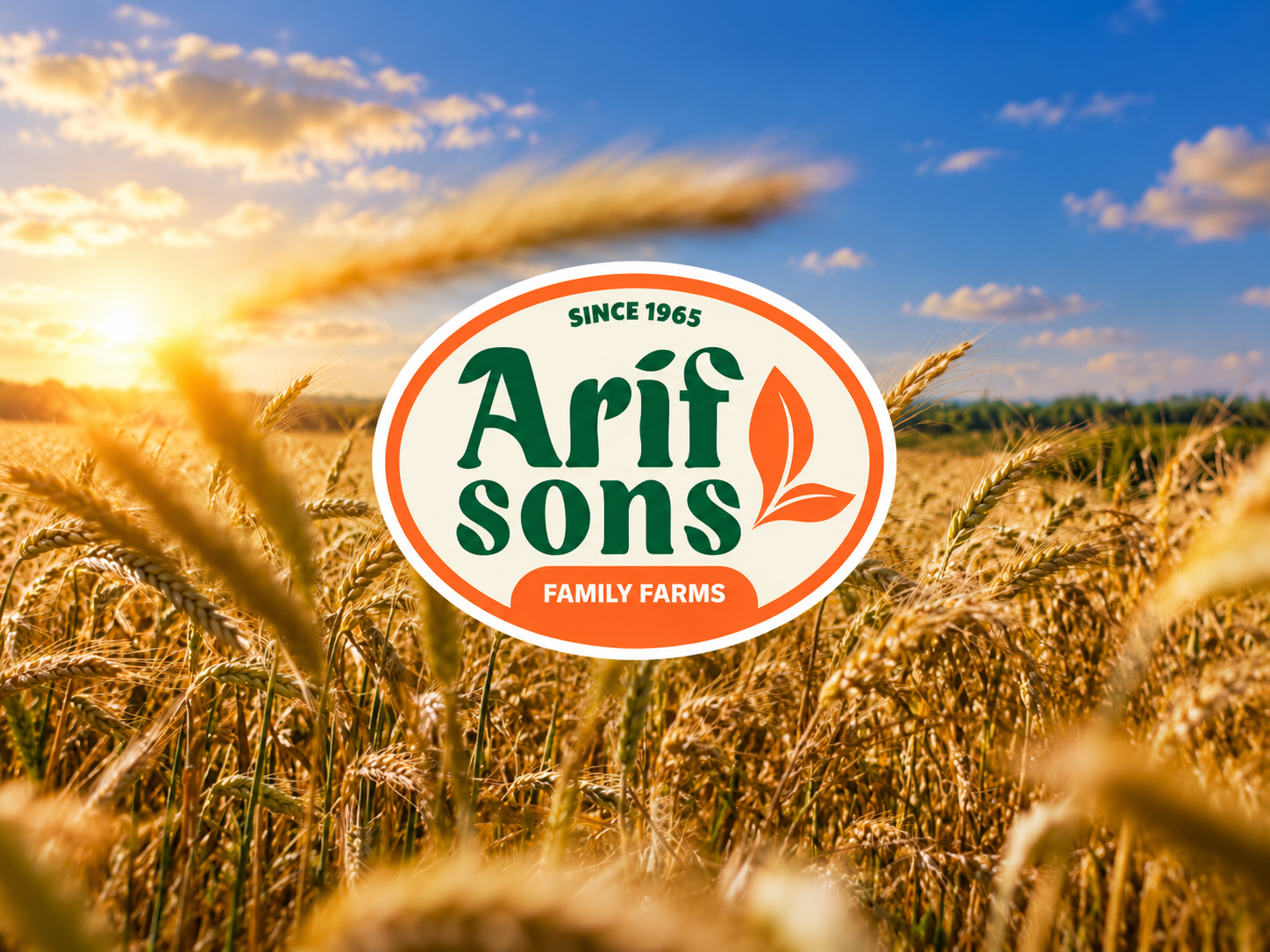 Arif Sons Branding and Visual Identity